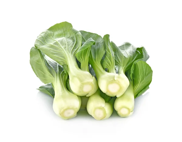 Bok choy овощ на белом фоне — стоковое фото