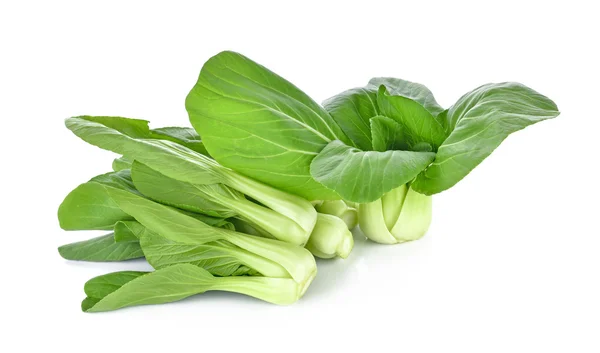 白色背景的Bok choy蔬菜 — 图库照片