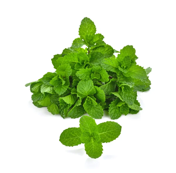 Beyaz arka plan üzerinde Tay nane