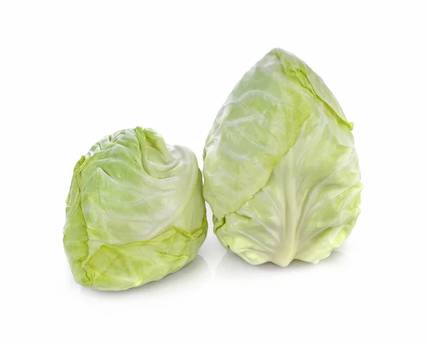 Pointed Cabbage на белом фоне — стоковое фото
