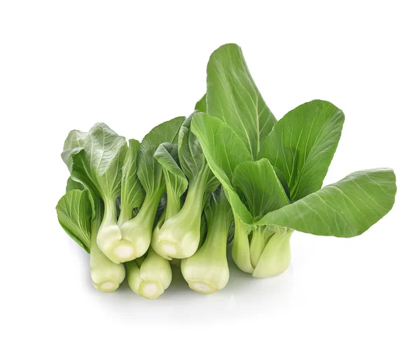 Bok choy vegetal sobre fondo blanco —  Fotos de Stock