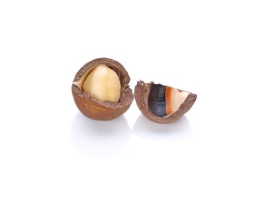 Beyaz arka planda Macadamia fındıkları