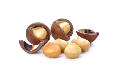 Beyaz arka planda izole edilmiş Macadamia fındıkları