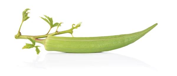 Okra fresca sobre un fondo blanco — Foto de Stock