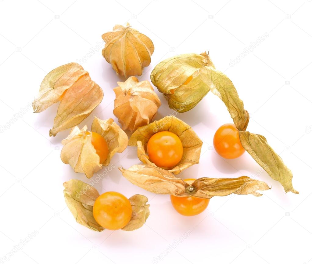 Physalis (gooseberries) on white background