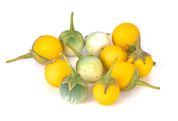 Solanum op witte achtergrond — Stockfoto