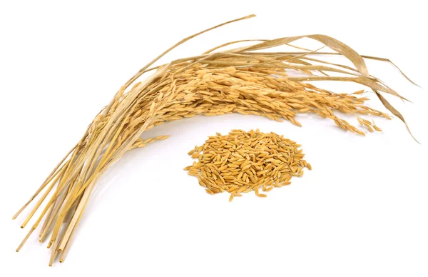 Beyaz arka planda yalıtılmış çeltik pirinci