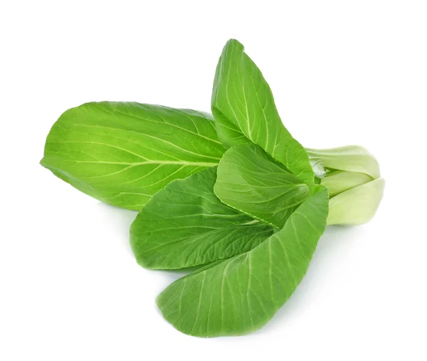 Bok choy vegetal sobre fondo blanco — Foto de Stock