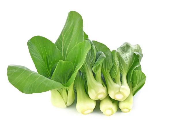 Bok choy vegetal isolado no fundo branco — Fotografia de Stock