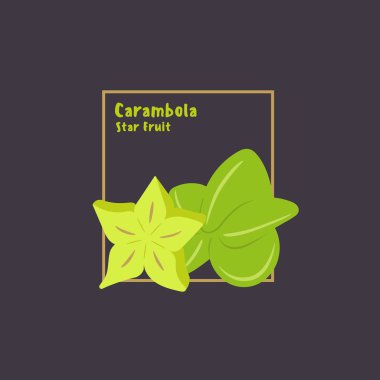 El çizim carambola, koyu arka plan üzerinde dilim ile starfruit.