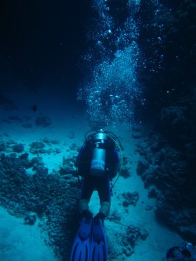 Kum alt dalgıçlar Kanyon. Kızıldeniz, Dahab, Mısır, Sina sualtı dünyası.