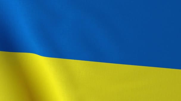Ondeando bandera ucraniana. — Vídeo de stock