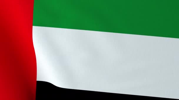 아랍에미리트의 깃발을 흔들며. — 비디오