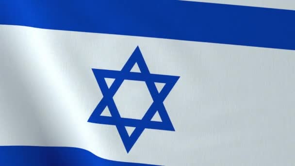 Κουνώντας τη σημαία του Ισραήλ. — Αρχείο Βίντεο