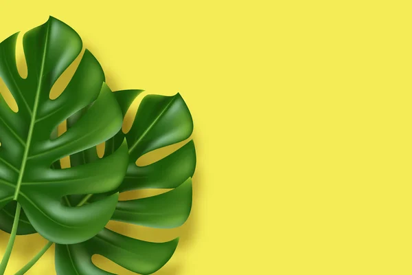 Foglie di Monstera su fondo giallo — Vettoriale Stock