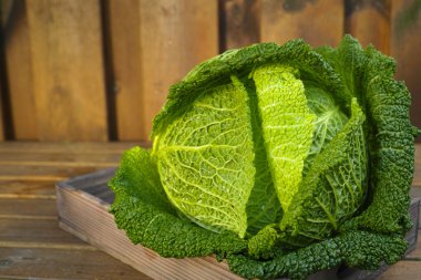 Single head of fresh green Savoy cabbage