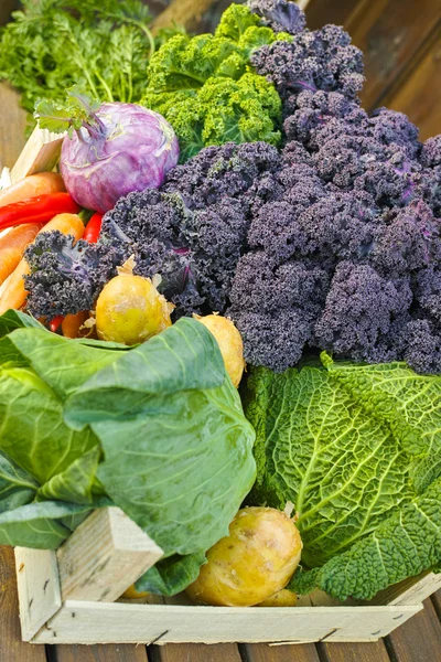 Taze organik pazar sebze ahşap arka plan üzerinde