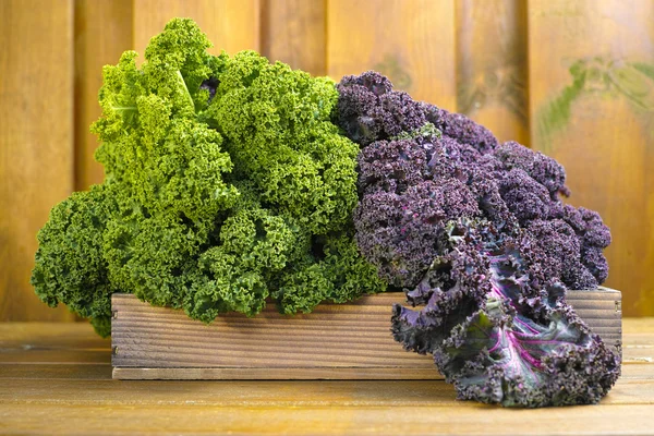 Freshly harvested green and purple curly kale cabbage