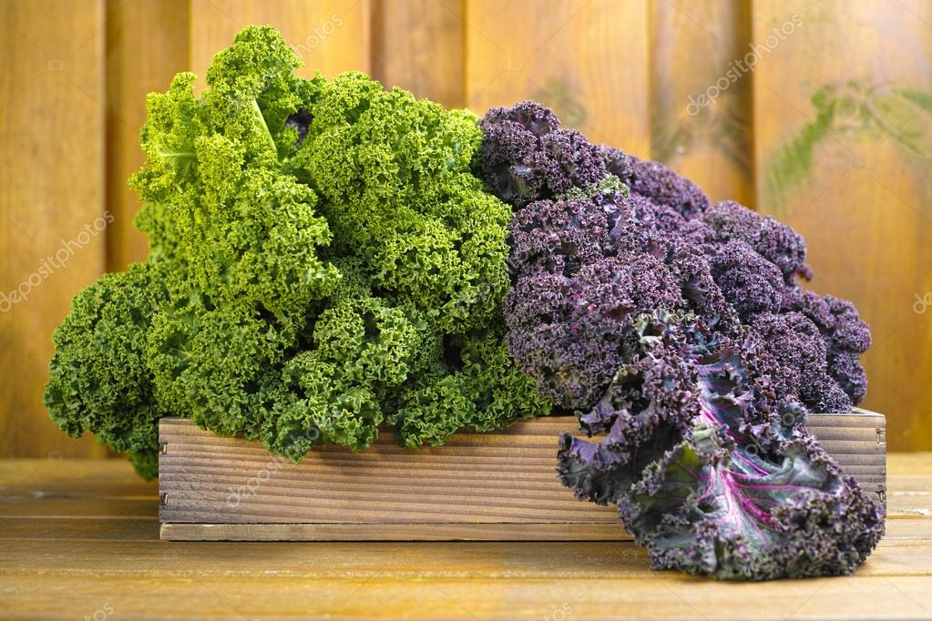 Kale cabbage Curly