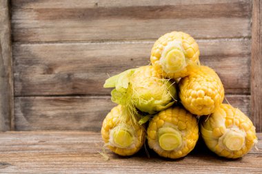 Taze mısır kopyalama alanı