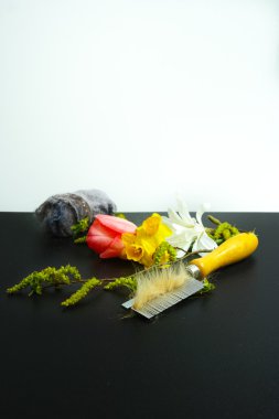 Anti kavramı, mevsimlik alerjenler - polen çiçek, evde beslenen hayvan ve ha