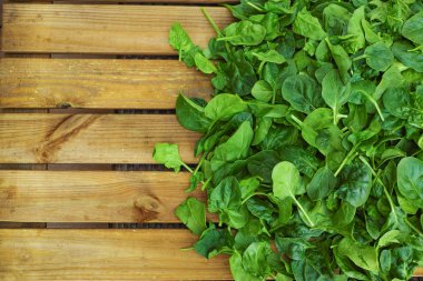 Taze yeşil ıspanak yaprakları