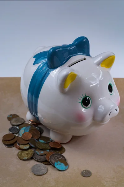 Piggy bank és -érmék - üzleti koncepció — Stock Fotó