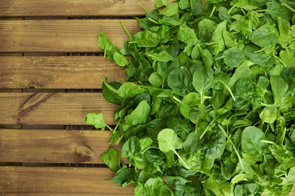 Leaves of fresh green spinach — Stock Photo, Image