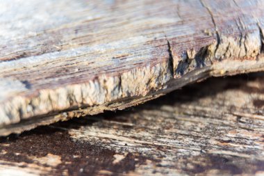 Eski dokulu ahşap tahta arka plan