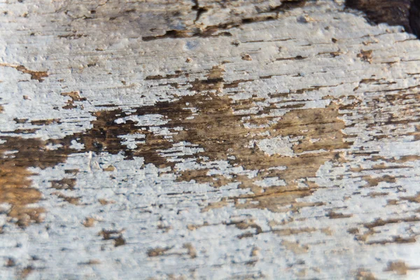 Vieux fond de planche en bois texturé — Photo
