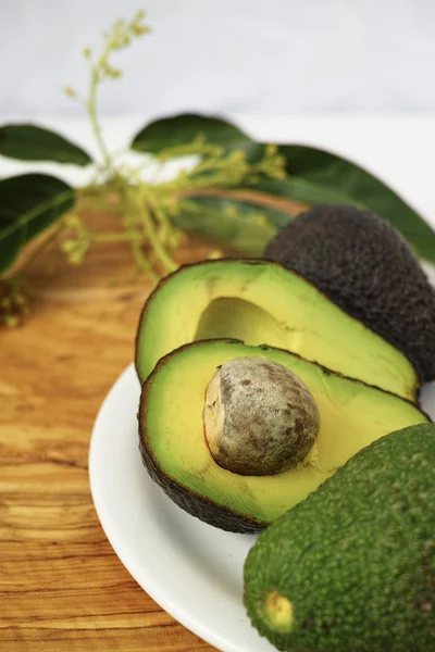 Färsk grön kapade avokado med blad — Stockfoto