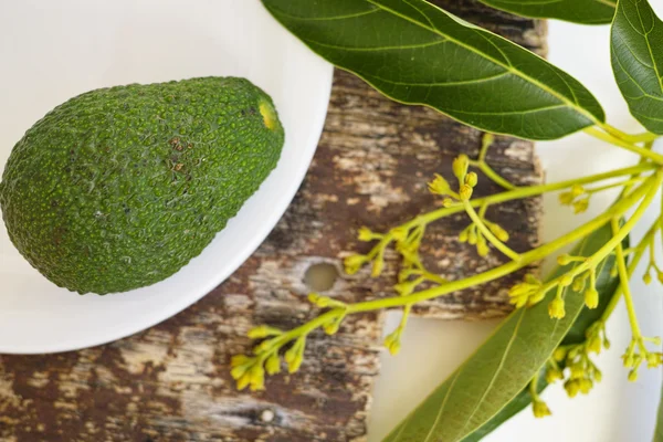 Färsk grön avokado med lämnar — Stockfoto
