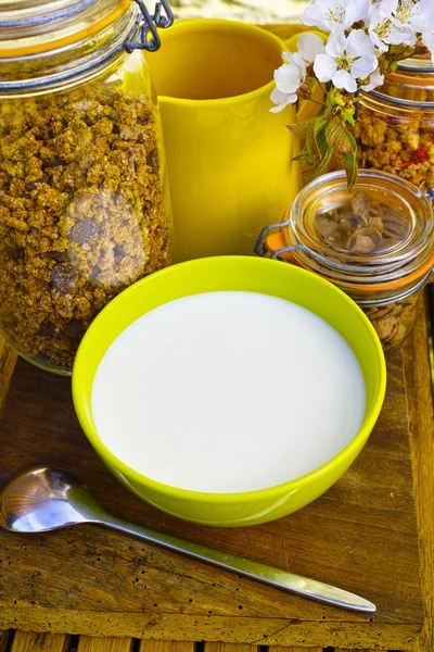 Desayuno saludable con leche y cereales en el jardín — Foto de Stock