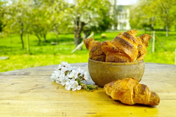 Frisch gebackene französische Croissants — Stockfoto