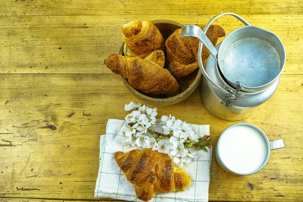 Aluminium milkcan witn biologische melk en vers gebakken croissants — Stockfoto