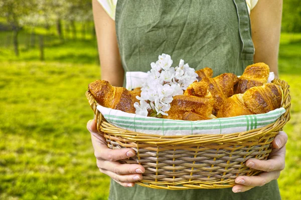 Jonge vrouw met een rieten mand van vers gebakken croissants — Stockfoto