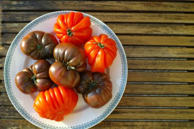 Büyük siyah Hatıra ve Oxheart domates