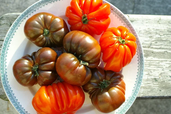 Big Black Heirloom e Oxheart tomates — Fotografia de Stock