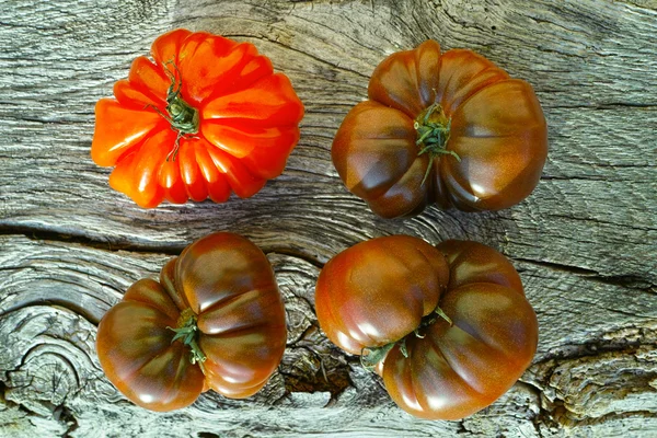 Big Black Heirloom e Oxheart tomates — Fotografia de Stock