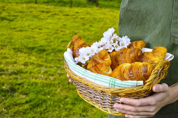 Junge Frau hält einen Weidenkorb mit frisch gebackenen Croissants — Stockfoto