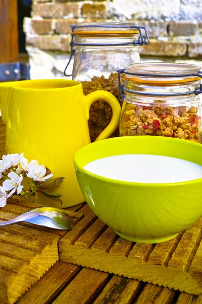 Здоровый завтрак с молоком и зерновыми в саду — стоковое фото
