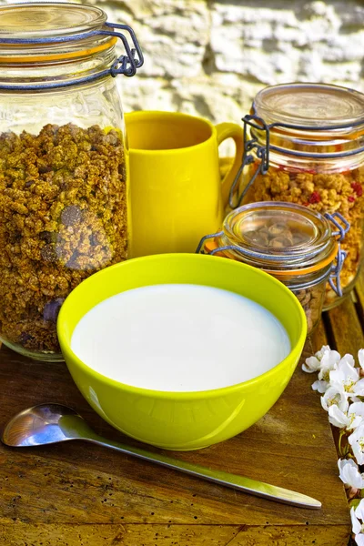 Gezond ontbijt met melk en granen in de tuin — Stockfoto