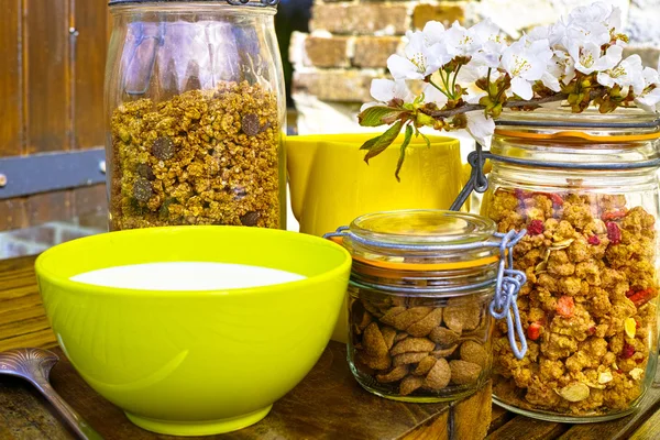 Desayuno saludable con leche y cereales en el jardín — Foto de Stock