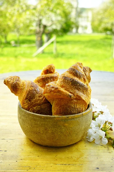 Vers gebakken Franse croissants — Stockfoto