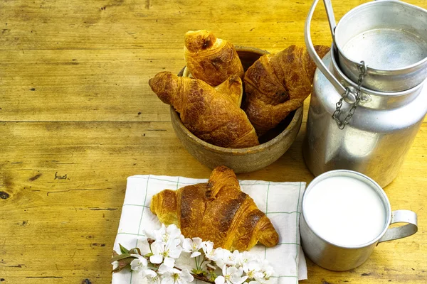 Aluminium milkcan witn biologische melk en vers gebakken croissants — Stockfoto