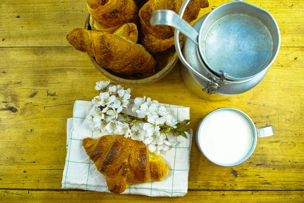 Aluminium-Milchkanne mit Bio-Milch und frisch gebackenen Croissants — Stockfoto