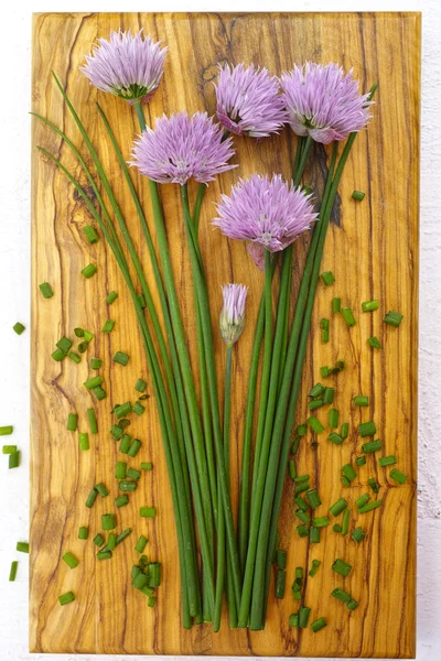 Fresh green blooming chives with purple flowers