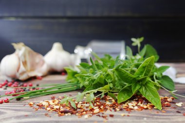 Taze İtalyan mutfak otlar ve baharatlar - kekik, fesleğen, mercanköşk