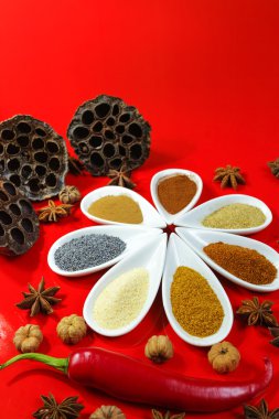 Kırmızı bir arka plan üzerinde renkli Hint baharat