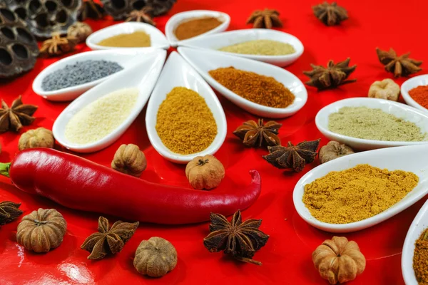 Färgglada indiska kryddor på röd bakgrund — Stockfoto